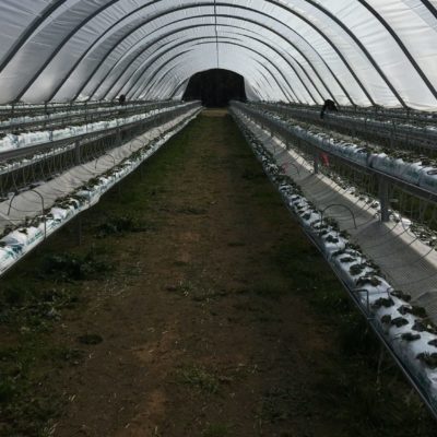 Inside a completed tunnel!